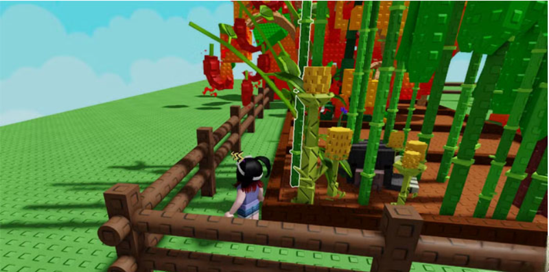 cay ot grow a garden