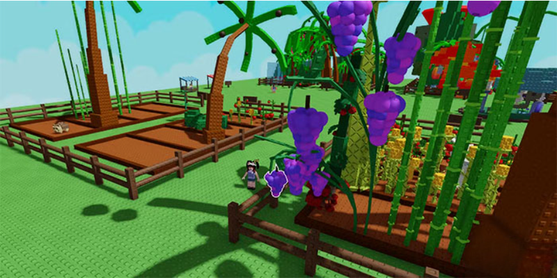 cay nho trong grow a garden