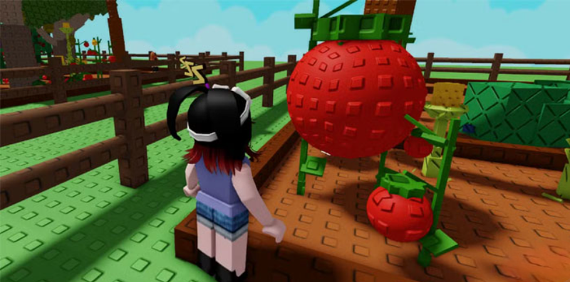 cay ca chua grow a garden