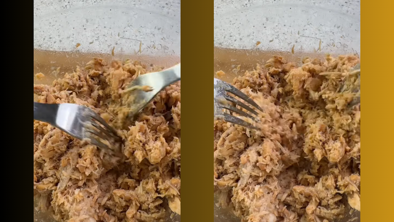 chà bông cá ngừ 1