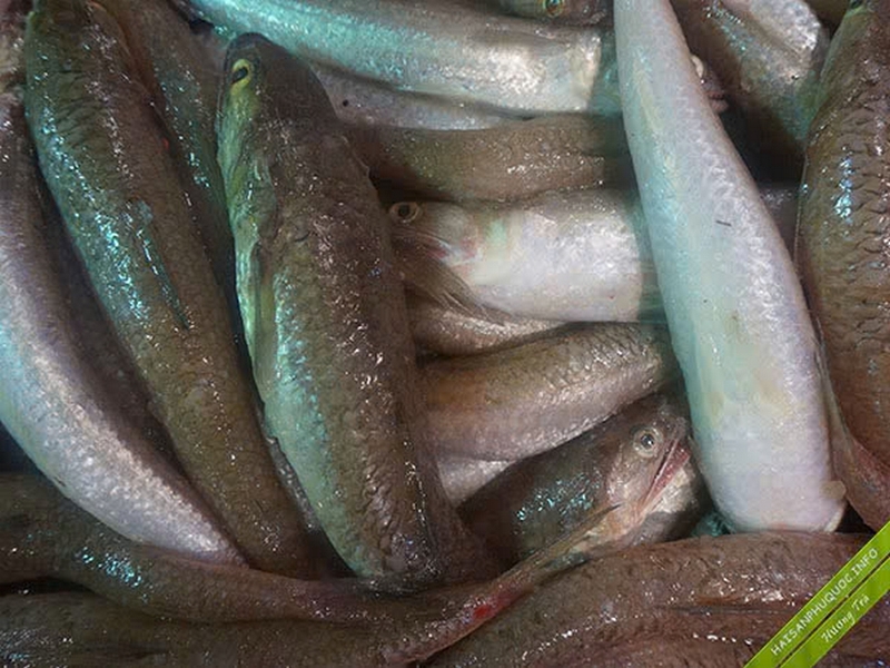chả cá mối ảnh 1