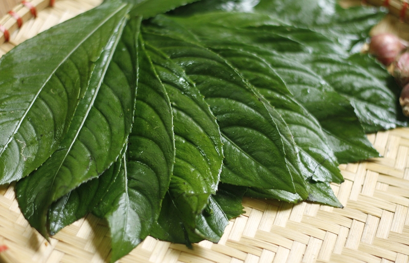 chả lá xương sông 2