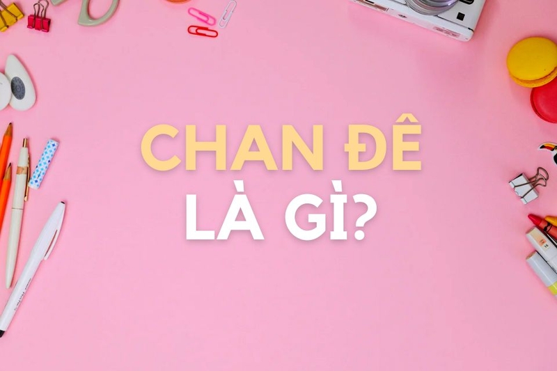 Chan đê là gì?