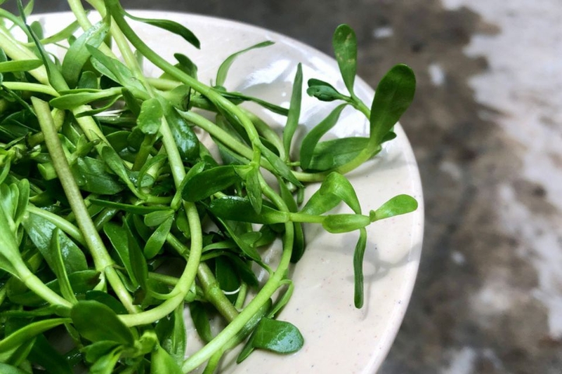 Chuẩn bị nguyên liệu rau đắng để làm cháo cá miền Tây