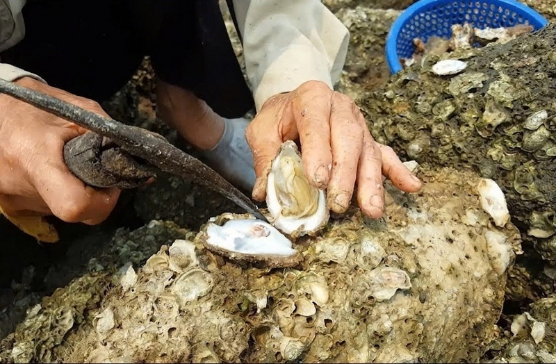 cháo hà ảnh 2