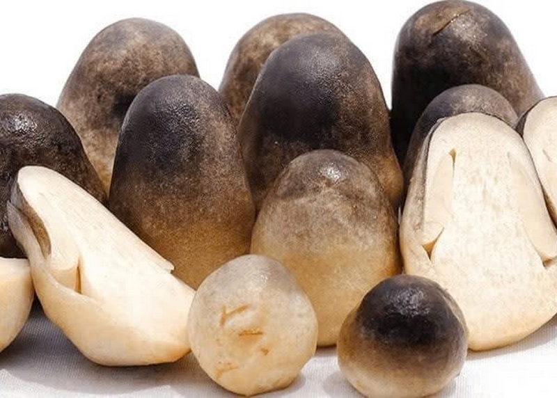 cháo hàu nấm rơm ảnh 2