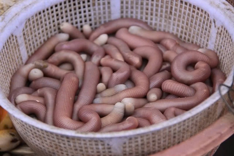 cháo sá sùng ảnh 1