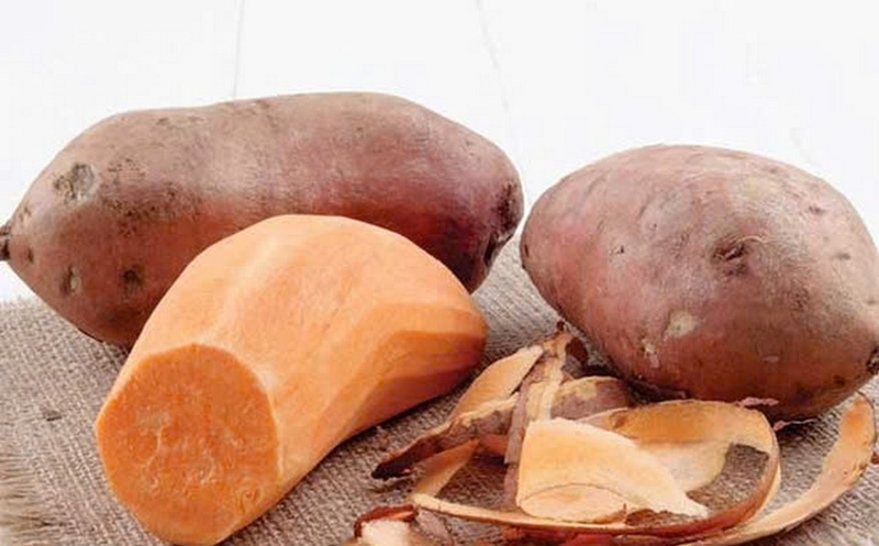 cháo thịt bò khoai lang ảnh 3