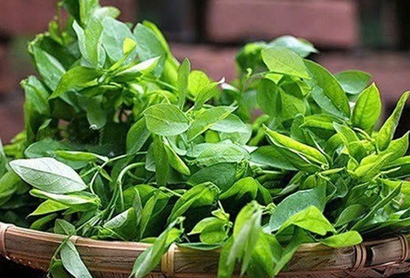 cháo thịt bò rau ngót ảnh 3