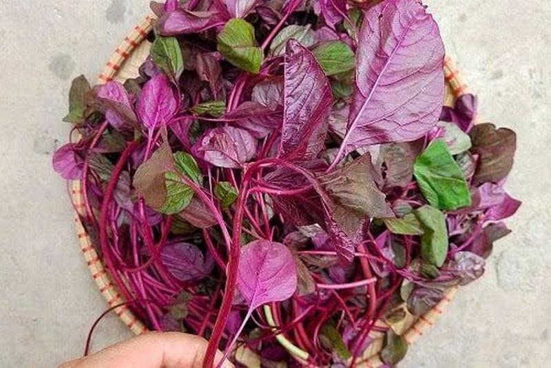 cháo tôm rau dền ảnh 3