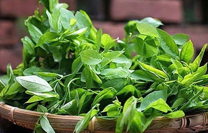 cháo tôm rau ngót ảnh 1