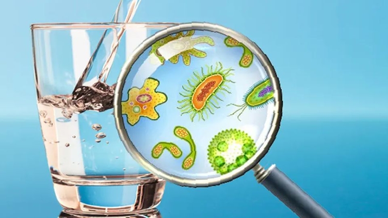 Không thể diệt hoàn toàn vi khuẩn