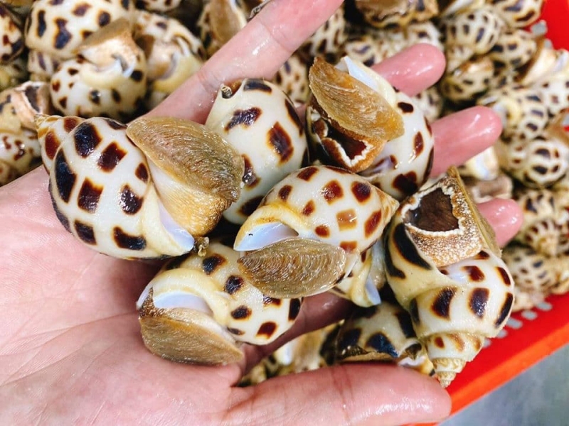 Chế biến ốc hương 1