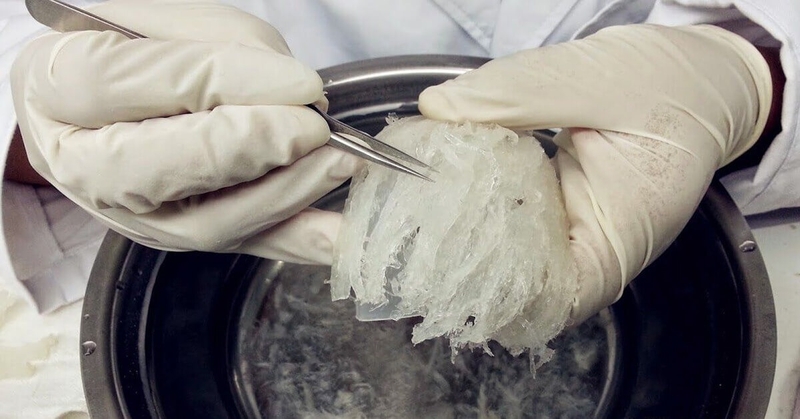 Cách chế biến tổ yến 2