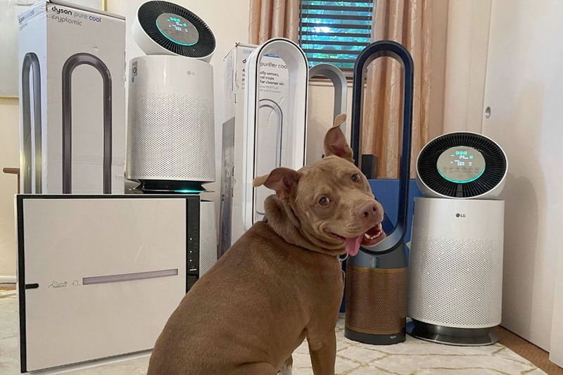 Chế độ Pollen - Ảnh 02