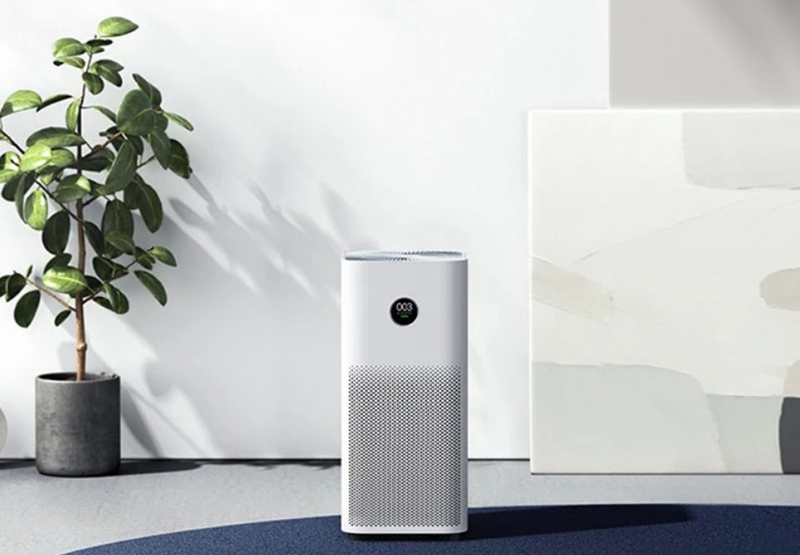 Chế độ Pollen - Ảnh 03