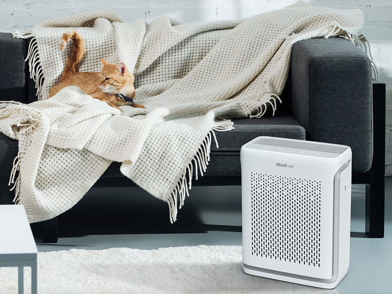 Chế độ Pollen - Ảnh 05