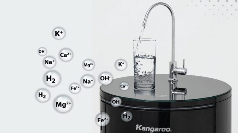 Máy lọc nước Kangaroo KG100HC