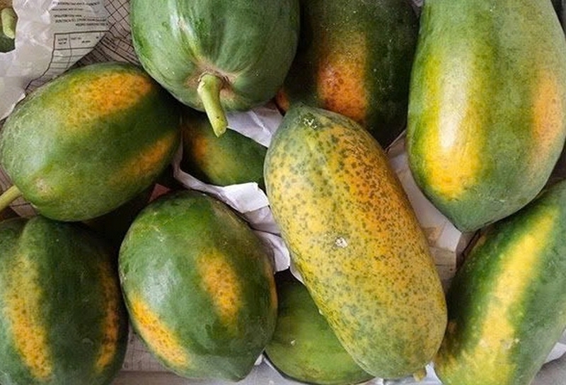 Chè đu đủ tiềm ảnh 1