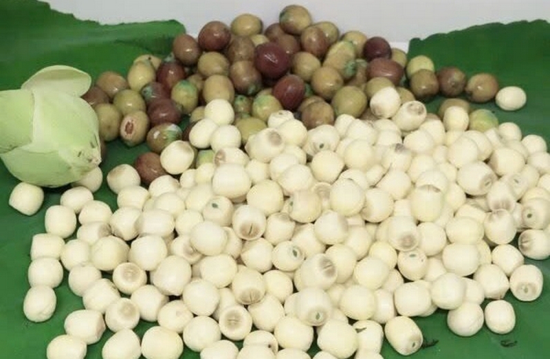 chè hạt sen đậu đỏ ảnh 2