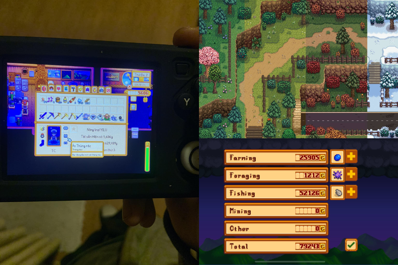 cheat code Stardew Valley (6)