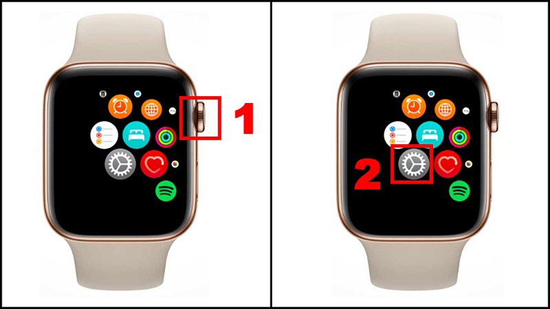 Check IMEI Apple Watch (ảnh 3)