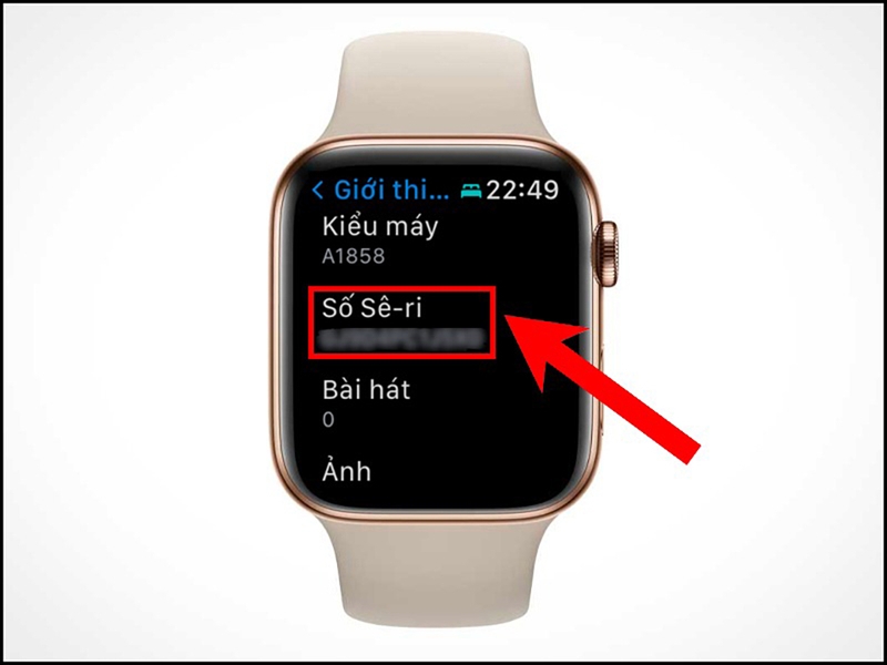 Check IMEI Apple Watch (ảnh 5)