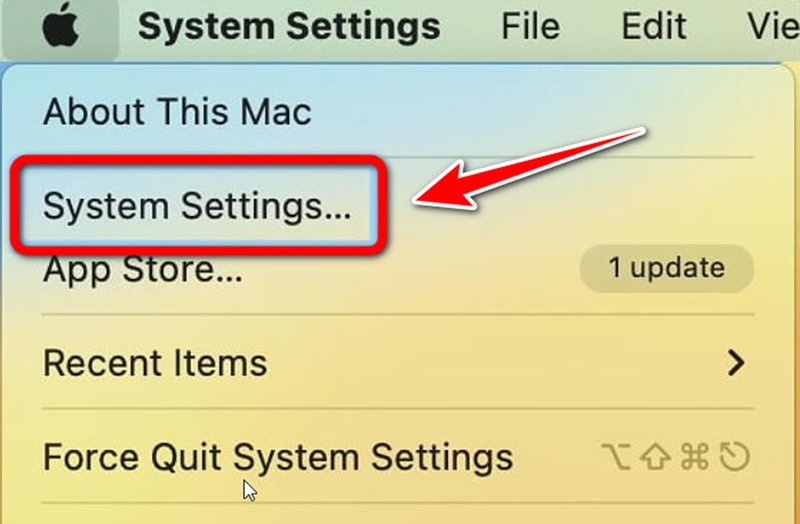 Check MDM trên MacBook - 04