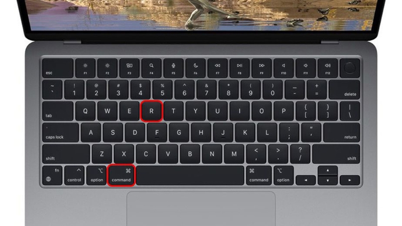 Check MDM trên MacBook - 09