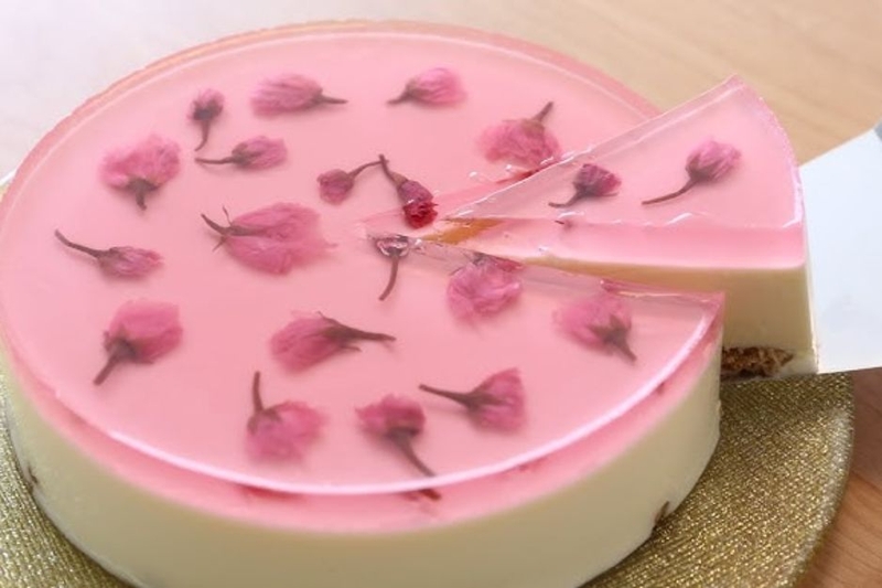 cheesecake hoa anh đào hình 1.1