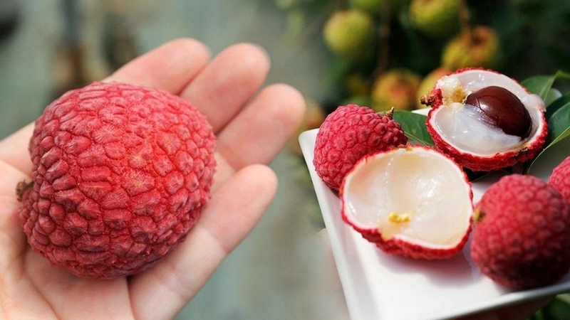cheesecake trái vải ảnh 10