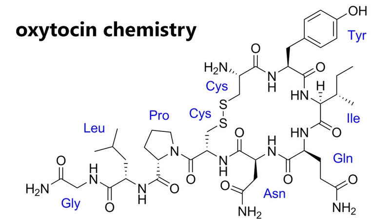 Những người đang yêu thường có nồng độ oxytocin cao