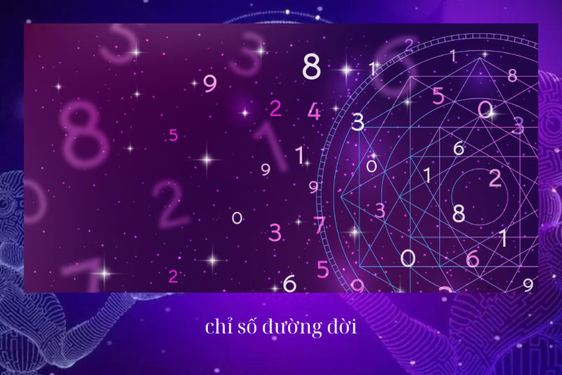 chỉ số đường đời (5)