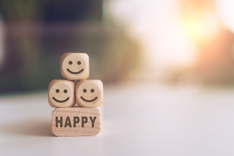 Chỉ số hạnh phúc là gì 8