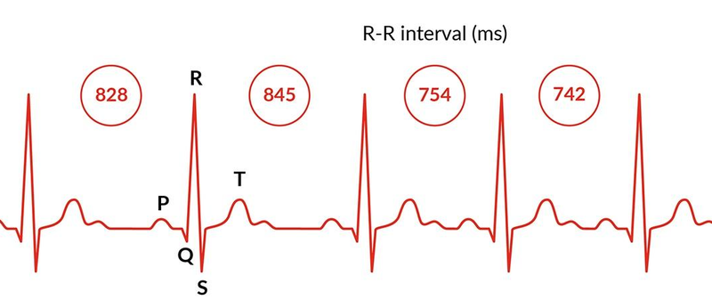 Đánh giá sức khỏe tim mạch