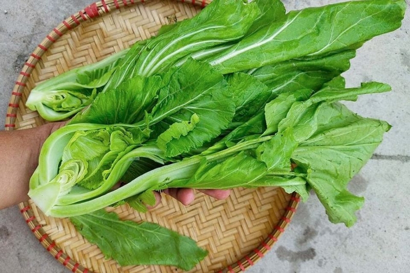 canh cải bẹ xanh thịt viên 1