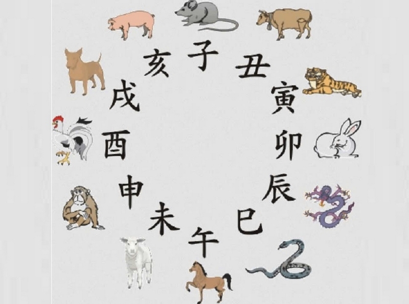 chọn tuổi xông nhà ảnh 5