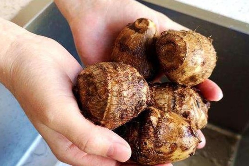 chống ngứa khi sơ chế khoai môn 4