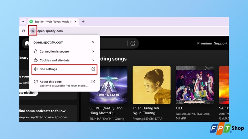 chọn Cài đặt trang web