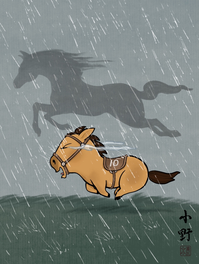 chú ngựa Mã Tiểu Dã hình nền hình 7