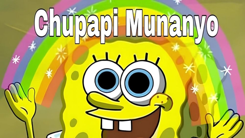 chu pa pi nha nhố là gì 2.jpg