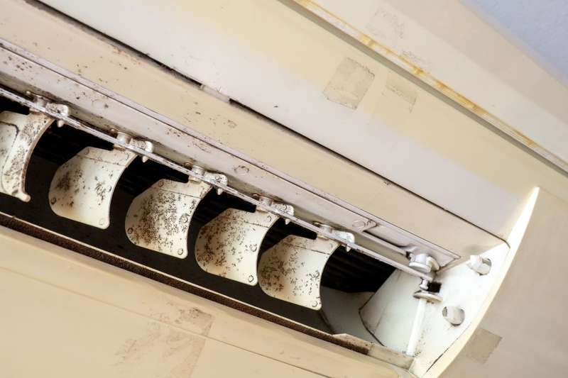 chức năng chống ẩm mốc (ảnh 1)