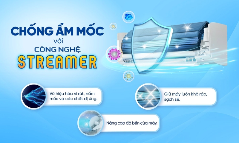 chức năng chống ẩm mốc (ảnh 3)