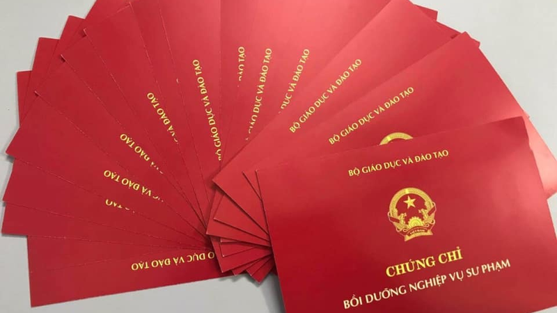 Chứng chỉ nghiệp vụ sư phạm là gì 2