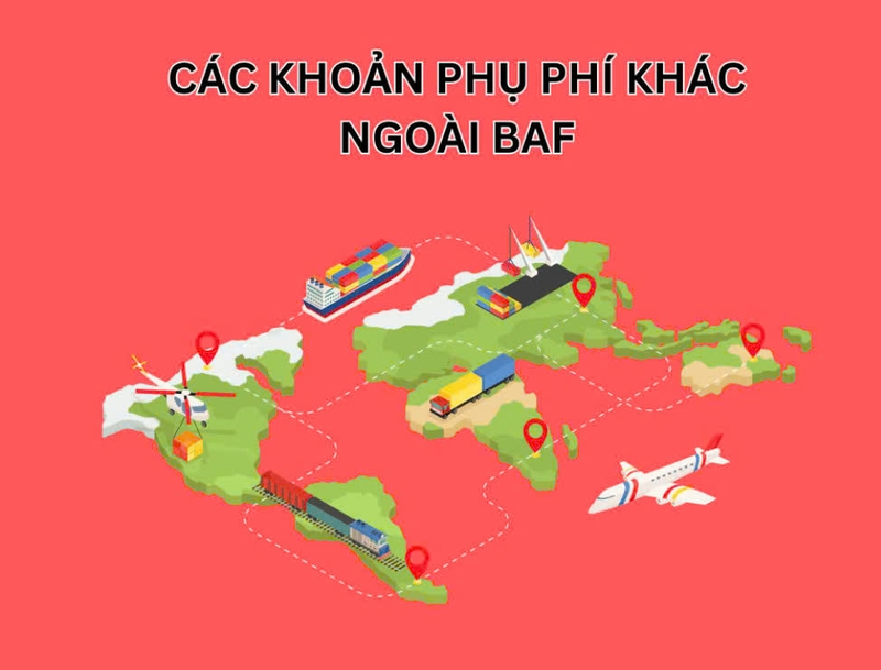 chứng nhận BAF là gì-2.jpg
