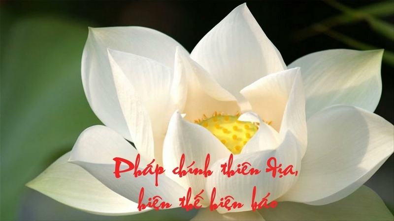 chuông báo phát chính niệm 2