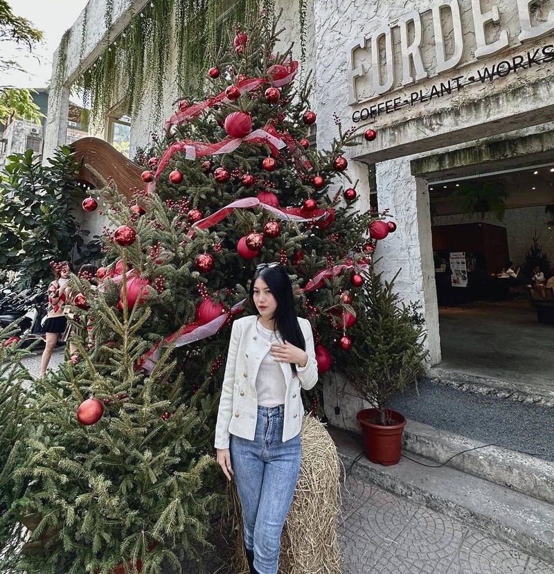 chụp ảnh với cây thông Noel (hình 5)