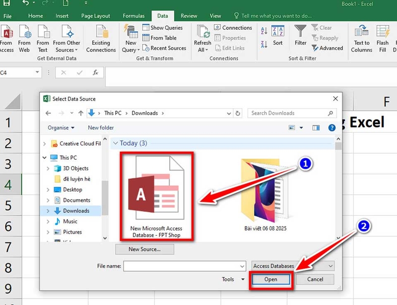 Cách nhập dữ liệu Access vào Excel - 08