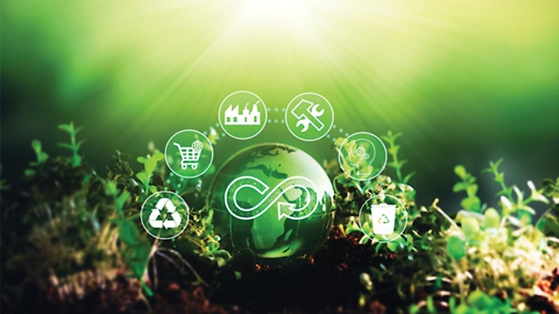 circular economy là gì? 2