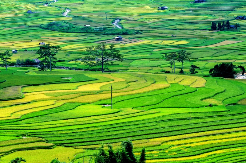 có bao nhiêu loại đất 1